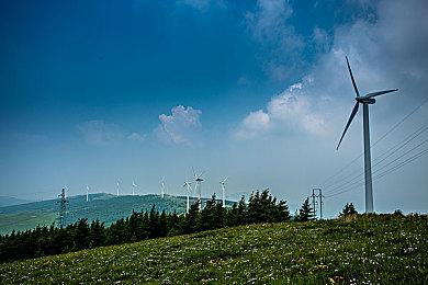 日本实体月榜：《马里奥：惊奇》新作中突出重围